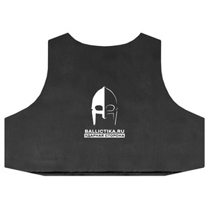 Баллистика в грудь корсетного жилета Атом 2.0 Магнум Gear Craft (Акетон БП) 935