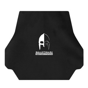 Баллистика в спину плитоносца Рекс (Акетон БП) 949